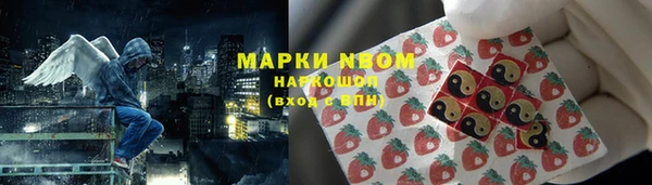 дмт Осташков