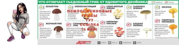 дмт Осташков