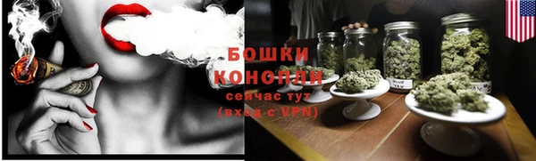 дмт Осташков