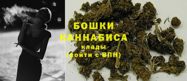 дмт Осташков