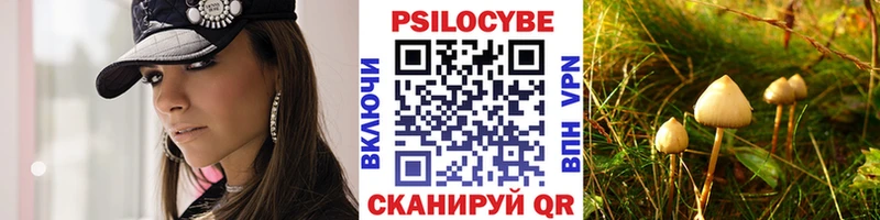 Псилоцибиновые грибы MAGIC MUSHROOMS  купить наркоту  Котово 